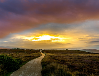 Our Key Offerings: Empowering Your Business at Every Step