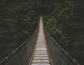 Unlocking Corporate Growth: Lessons from Real-World Experience